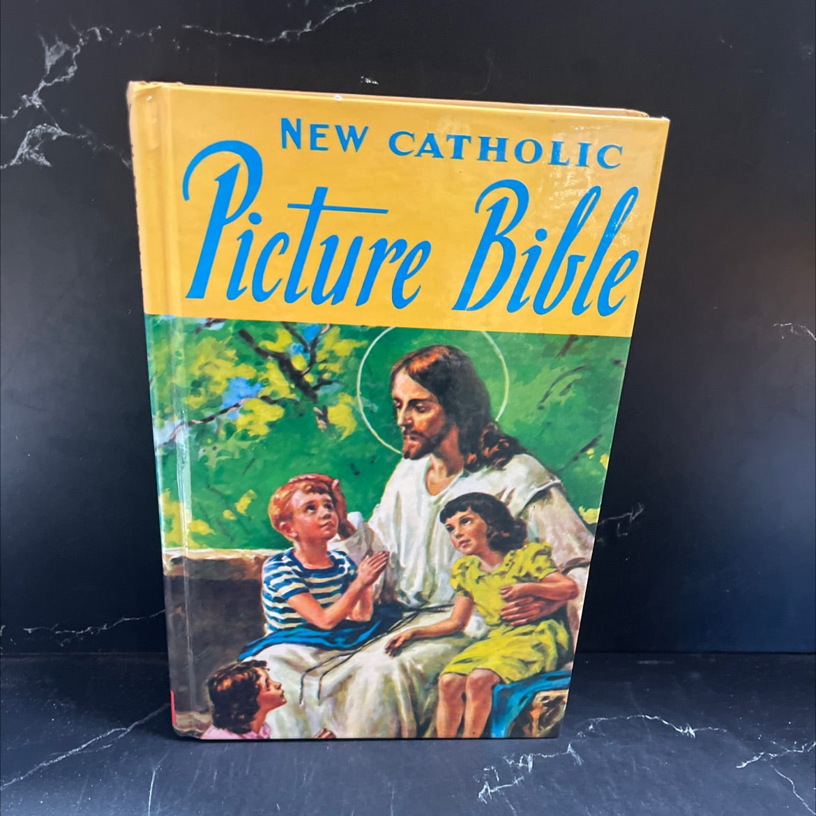 holy bible new catholic picture bible popular stories from the old and new testaments book, by rev. lawrence g.